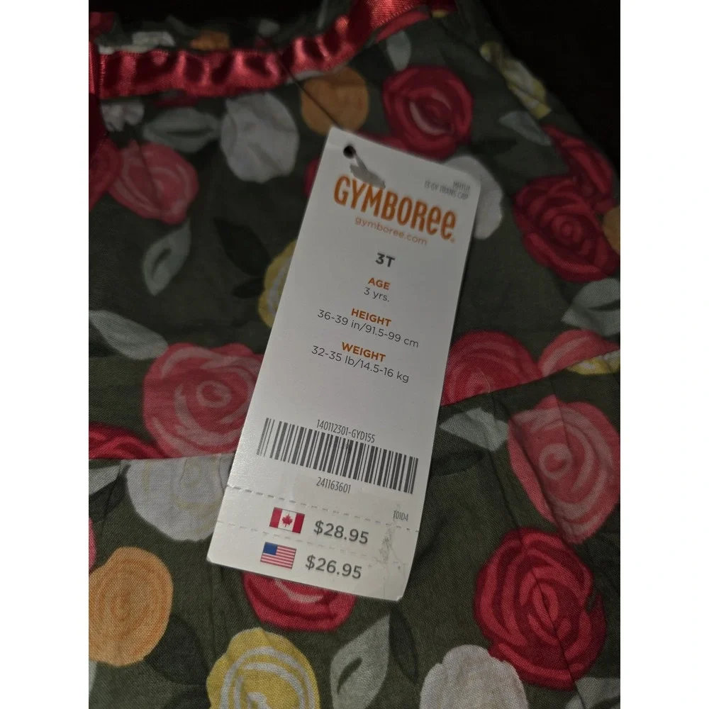 Gymboree friendship camp